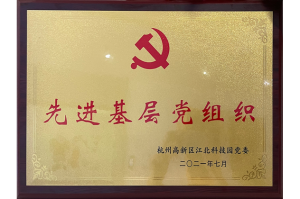 2021年度先進(jìn)基層黨組織